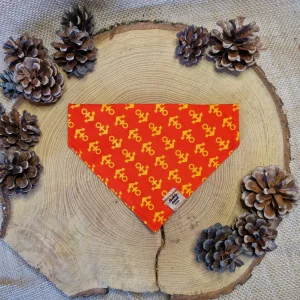 Bandana - Anchor Man