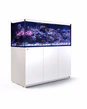 Red Sea Reefer G2+ 750 XXL (180x65x60cm) - White