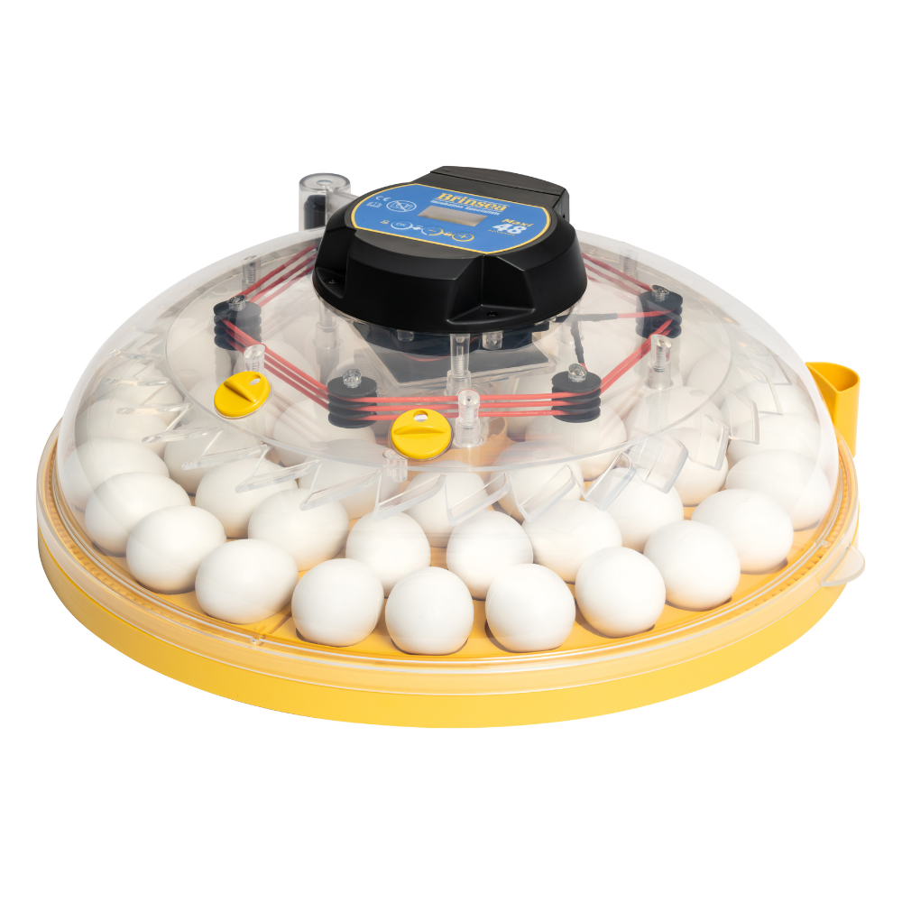 Brinsea Maxi 48 Advance - Bild 5