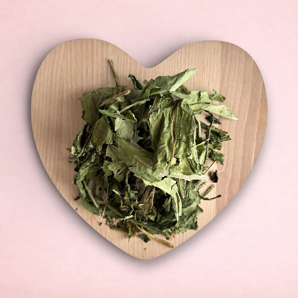 Dandelion Salad - Bild 2