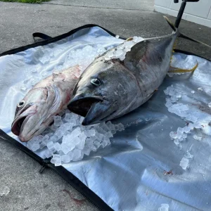 Fish Cooler Bag-Kingfish Cooler Bag