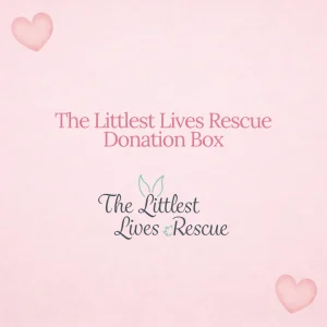 The Littlest Lives Rescue Donation Box